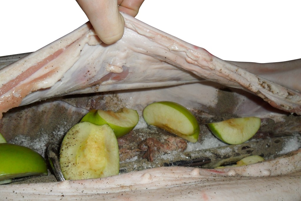 This picture shows the big cavity stuffed with apples an spices while being prepared for spit roasting. 